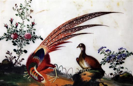 Five Chinese pith paintings of birds, late 19th century, 14 x 21cm, later mounted, framed and glazed